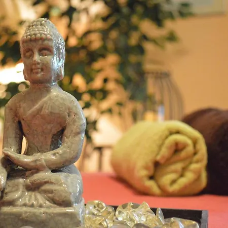 酒店 Riedl 巴特法兴格