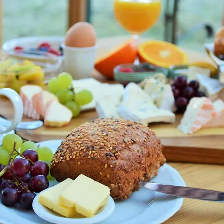 Riedl * 巴特法兴格