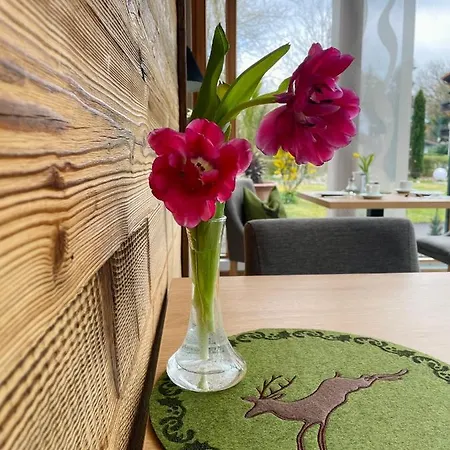 酒店 Riedl 巴特法兴格