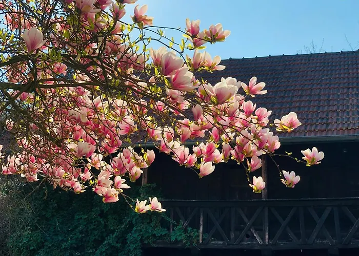 Riedl Hotel Bad Füssing